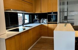 Duplex 5 camere, 155 mp, zona Europa