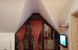 Apartament de vacanță, liniște și confort, Pârâul Rece, Predeal