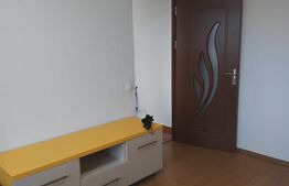 Apartament 1 camera, 30 mp, zona Porii