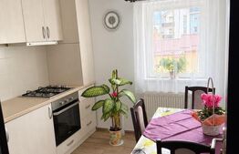 Apartament 2 camere, 38 mp, zona Nord