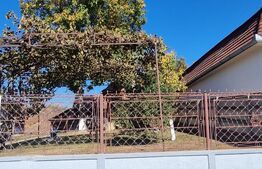 Casa cu 2camere,curte si gradina