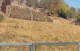 Casa cu 2camere,curte si gradina