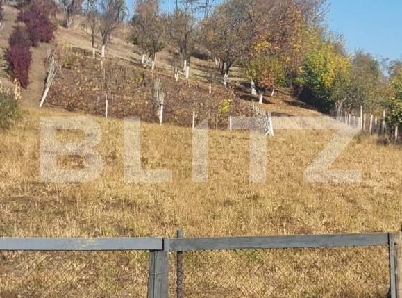 Casa de vânzare 2 camere Tritenii de Jos - 208422CV | BLITZ Cluj-Napoca | Poza5