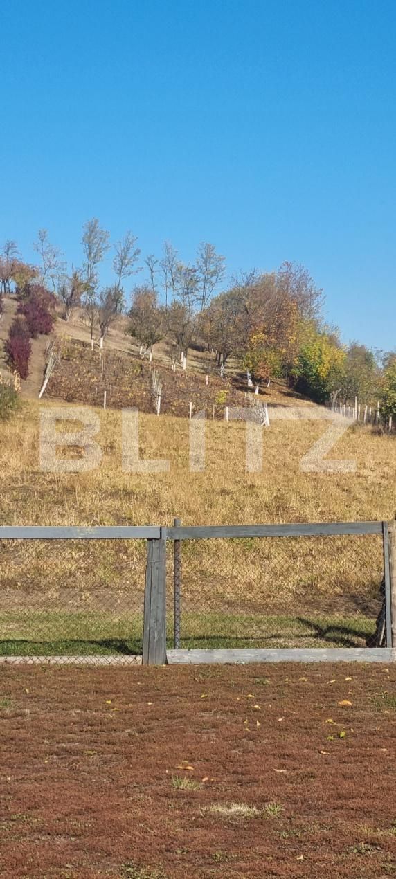 Casa de vânzare 2 camere Tritenii de Jos - 208422CV | BLITZ Cluj-Napoca | Poza5