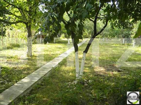 Spațiu birouri de închiriat Marasti - 20846SIB | BLITZ Cluj-Napoca | Poza10