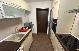 Casa 4 camere, 213mp, curte, zona Dambul Rotund 