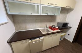 Casa 4 camere, 213mp, curte, zona Dambul Rotund 