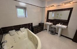 Casa 4 camere, 213mp, curte, zona Dambul Rotund 