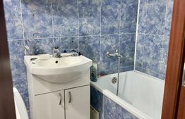 Garsonieră de închiriat, 20 mp, zona Astra