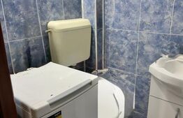 Garsonieră de închiriat, 20 mp, zona Astra