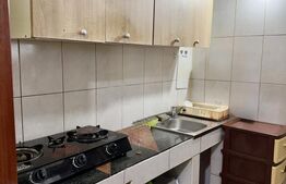 Garsonieră de închiriat, 20 mp, zona Astra