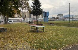 Garsonieră de închiriat, 20 mp, zona Astra