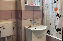 Apartament 2 camere, decomandat, 55 mp, zona BIG