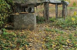 Casa 3 camere,curte,gradina si teren