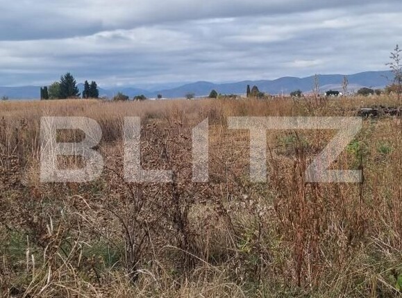 Casa de vânzare 3 camere Bogata - 208554CV | BLITZ Cluj-Napoca | Poza7