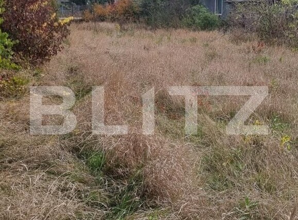 Casa de vânzare 3 camere Bogata - 208554CV | BLITZ Cluj-Napoca | Poza4