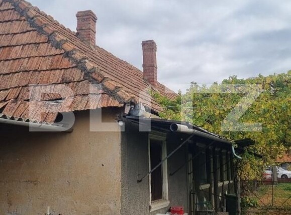 Casa de vânzare 3 camere Bogata - 208554CV | BLITZ Cluj-Napoca | Poza6