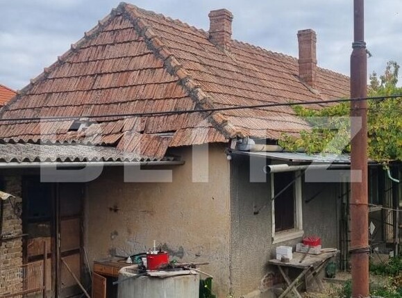 Casa de vânzare 3 camere Bogata - 208554CV | BLITZ Cluj-Napoca | Poza5