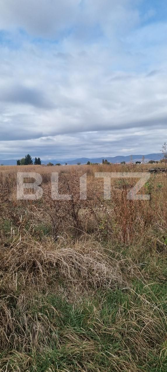 Casa de vânzare 3 camere Bogata - 208554CV | BLITZ Cluj-Napoca | Poza7