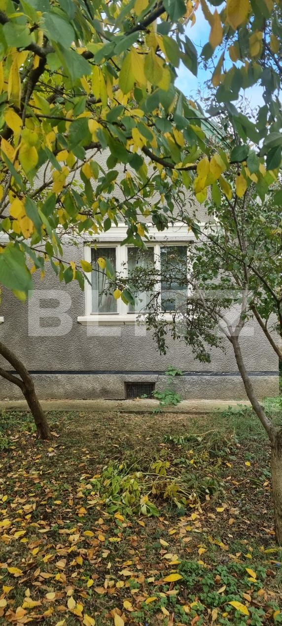 Casa de vânzare 3 camere Bogata - 208554CV | BLITZ Cluj-Napoca | Poza2