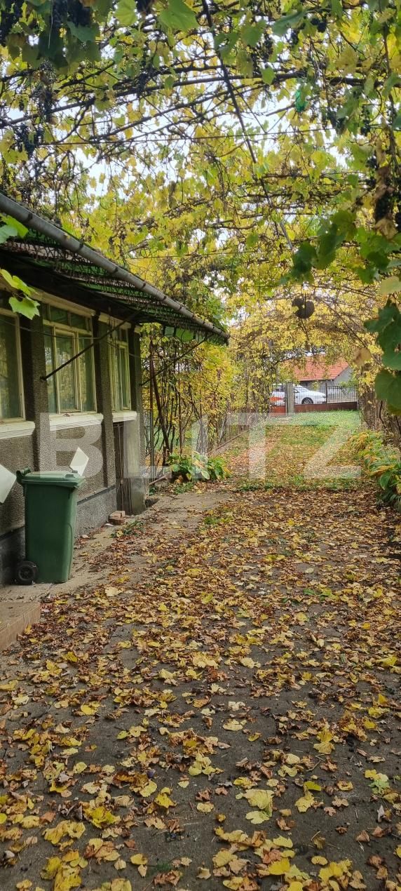 Casa de vânzare 3 camere Bogata - 208554CV | BLITZ Cluj-Napoca | Poza14