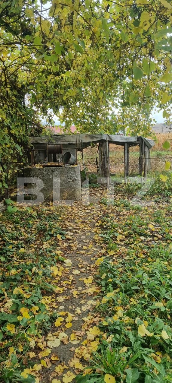 Casa de vânzare 3 camere Bogata - 208554CV | BLITZ Cluj-Napoca | Poza10