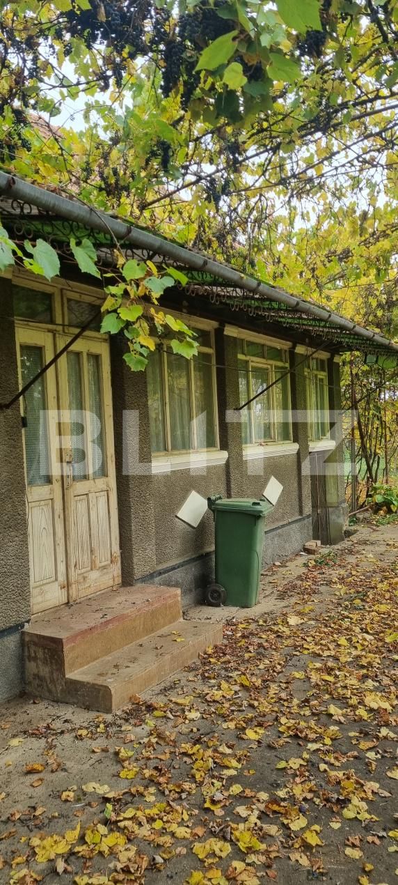 Casa de vânzare 3 camere Bogata - 208554CV | BLITZ Cluj-Napoca | Poza13