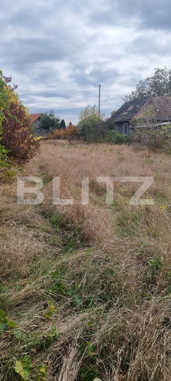 Casa de vânzare 3 camere Bogata - 208554CV | BLITZ Cluj-Napoca | Poza4
