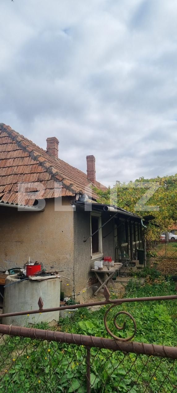 Casa de vânzare 3 camere Bogata - 208554CV | BLITZ Cluj-Napoca | Poza6