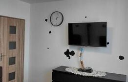 Apartament 2 camere, 45 mp, cartierul Grigorescu