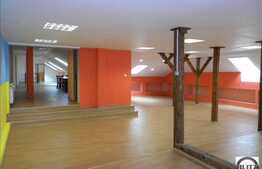 290 mp in centrul Clujului.