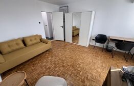 Garsonieră de închiriat, 30 mp, petfriendly, zona Ghergheni
