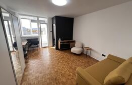 Garsonieră de închiriat, 30 mp, petfriendly, zona Ghergheni
