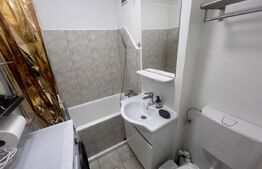 Garsonieră de închiriat, 30 mp, petfriendly, zona Ghergheni