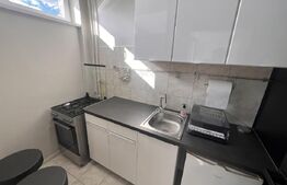 Garsonieră de închiriat, 30 mp, petfriendly, zona Ghergheni