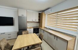 Studio modern, la prima închiriere, cu parcare, Sânpetru
