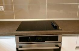 Apartament 2 camere, mobilat lux, zona USAMV
