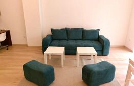 Apartament 2 camere, mobilat lux, zona USAMV