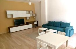 Apartament 2 camere, mobilat lux, zona USAMV