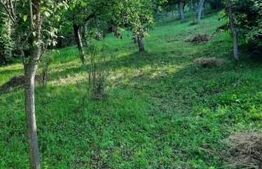 Casa de vanzare, 80 mp, zona Nicula 