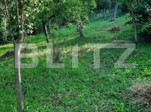 Casa de vânzare 3 camere Nicula - 208718CV | BLITZ Cluj-Napoca | Poza16