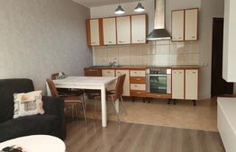 Apartament 2 camere, 42 mp, zona Florilor 