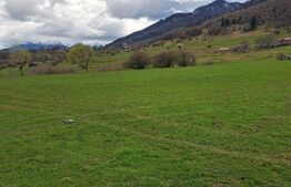 Teren intravilan, 1000 mp, zona Sud-Vest - Zărnești