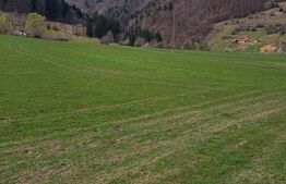 Teren intravilan, 1000 mp, zona Sud-Vest - Zărnești