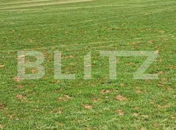 Teren de vânzare Zarnesti - 208744TV | BLITZ Brașov | Poza9
