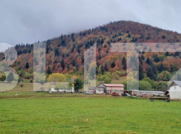 Teren de vânzare Zarnesti - 208744TV | BLITZ Brașov | Poza2