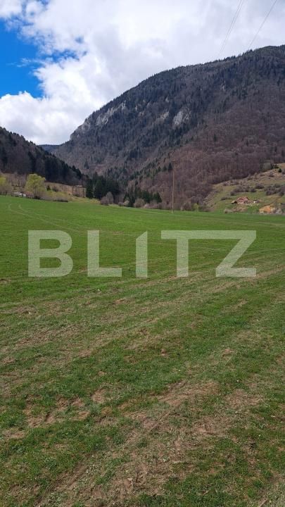 Teren de vânzare Zarnesti - 208744TV | BLITZ Brașov | Poza5