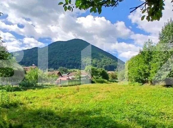 Casa de vânzare 3 camere Zarnesti - 208746CV | BLITZ Brașov | Poza13