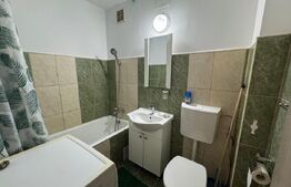Garsoniera de inchiriat, 24 mp, cat-friendly, zona Manastur
