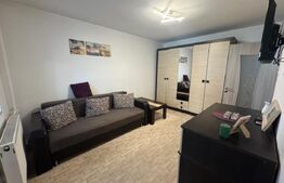 Garsoniera de inchiriat, 24 mp, cat-friendly, zona Manastur